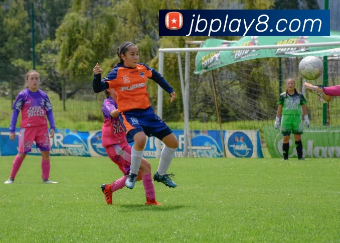 佳博体育官网发展历程